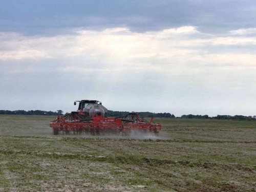 Inicia o plantio de arroz na Zona Sul do Estado