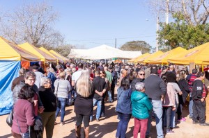  FESTA DO PEIXE E DO CAMARÃO SERÁ DIA 26 DE MAIO NA COLÔNIA Z3