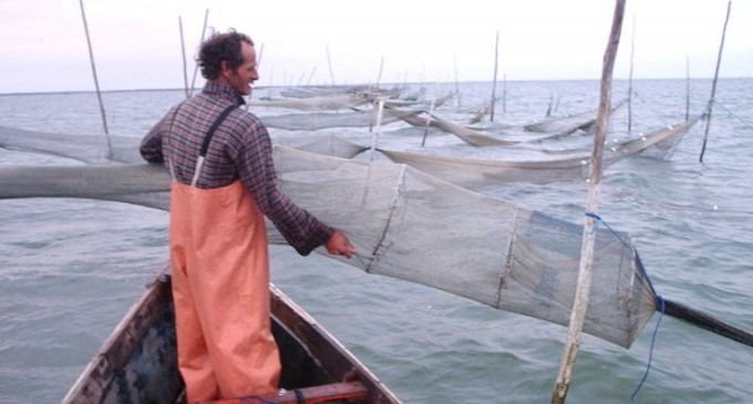 COLÔNIA Z3 : Pescadores estão otimistas com safra de camarão