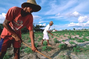 CONHEÇA REGRAS PROPOSTAS PARA APOSENTADORIA RURAL