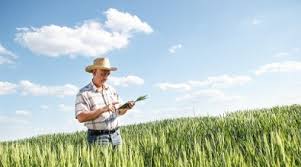 Projeto valoriza produtores rurais de Pelotas que conservam o meio ambiente