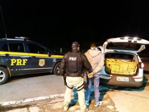 MACONHA : POLÍCIA RODOVIÁRIA APREENDE MAIS MEIA TONELADA EM AÇÃO NA BR -116