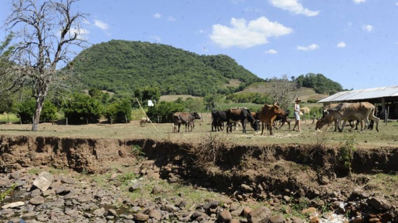 Cientistas temem aumento das secas em todo o Brasil